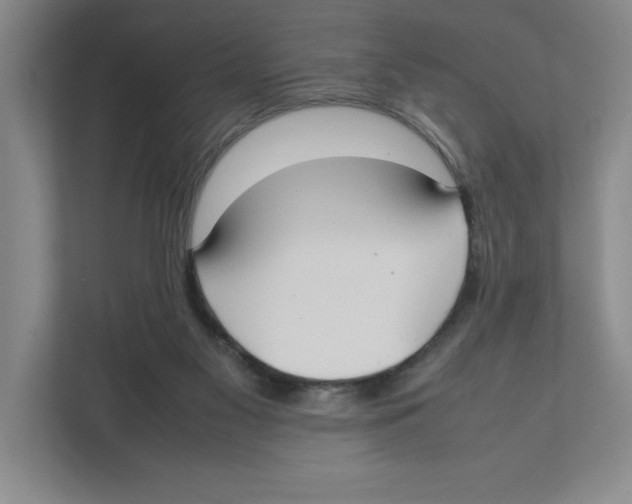 X0000111850117200908201245