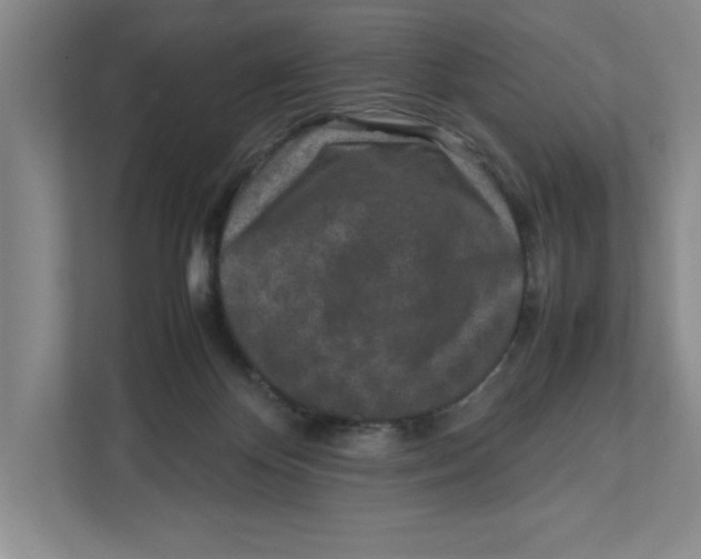 X0000111850124200908201245