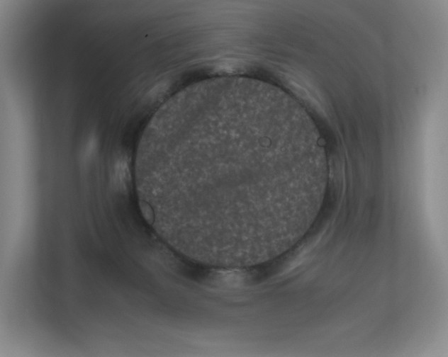 X0000111850127200908201245