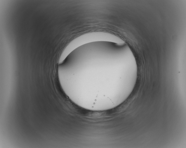X0000111850129200908201245