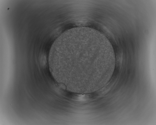 X0000111850130200908201245