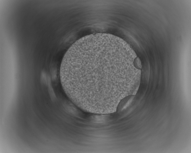 X0000111850134200908201245