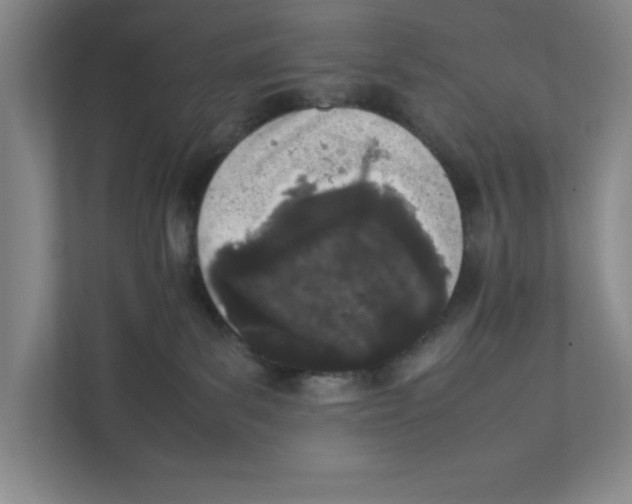 X0000111850139200908201245