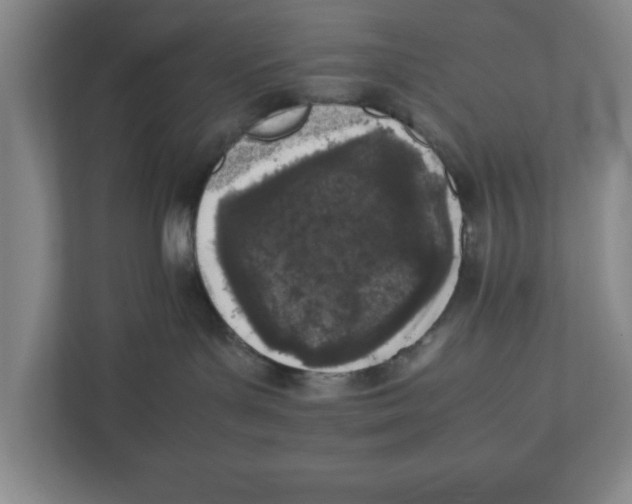 X0000111850143200908201245