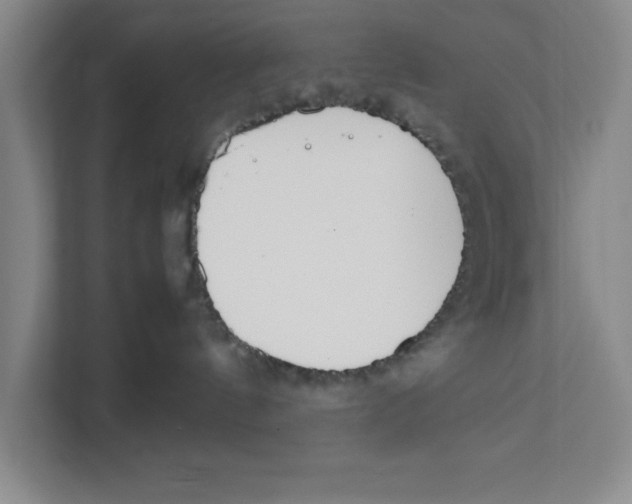 X0000111850144200908201244