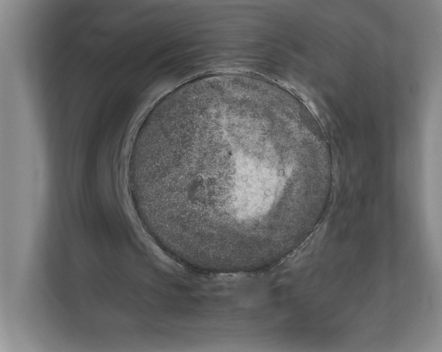 X0000111850145200908201244