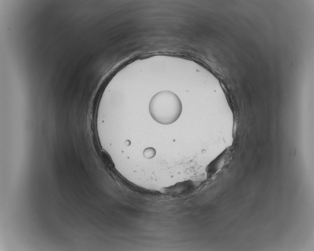 X0000111850146200908201244