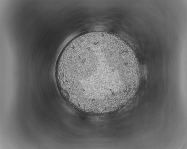 X0000111850147200908201244