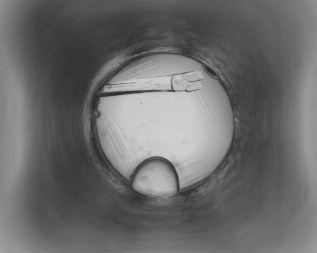 X0000111850149200908201244