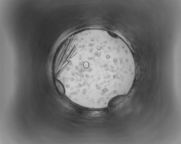 X0000111850151200908201244