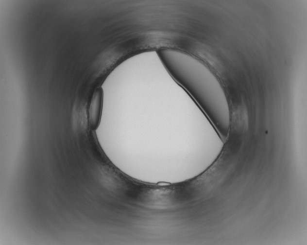 X0000111850158200908201244