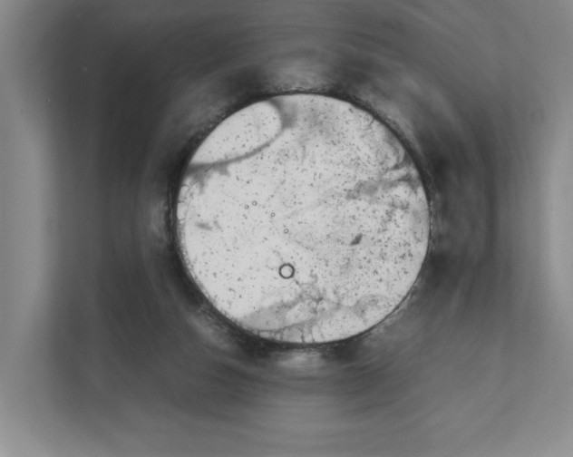 X0000111850162200908201244