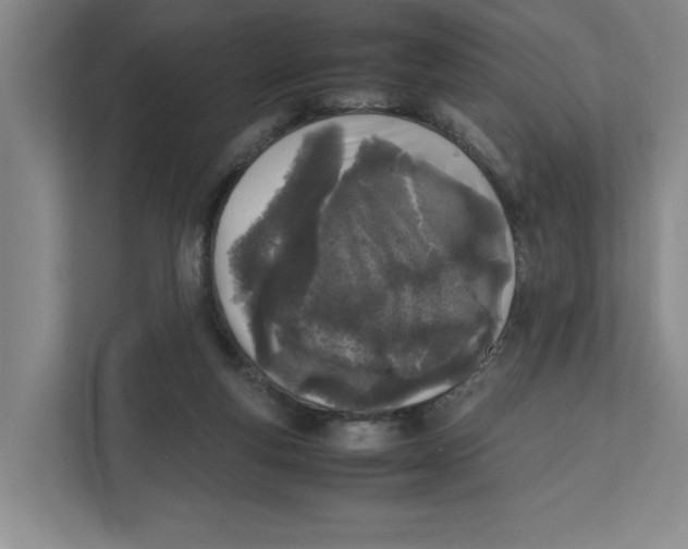X0000111850163200908201244