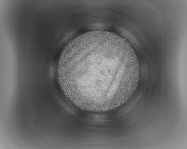 X0000111850165200908201244