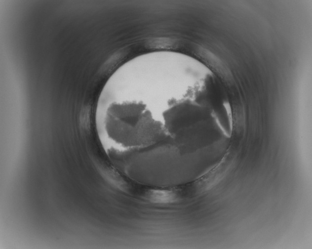 X0000111850167200908201244