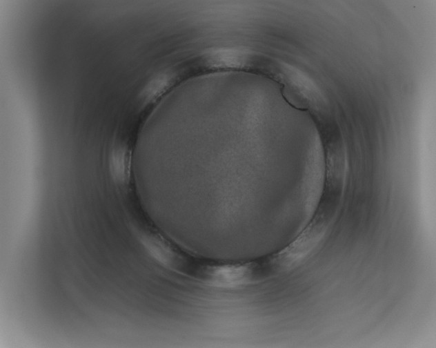 X0000111850168200908201244