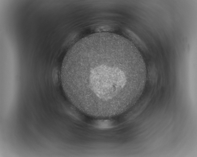 X0000111850169200908201244