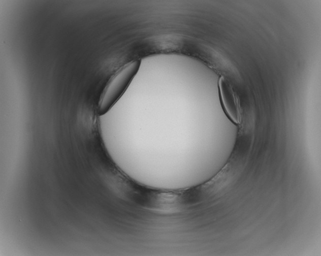 X0000111850176200908201244