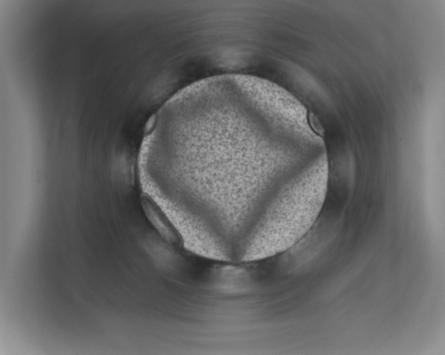 X0000111850180200908201244