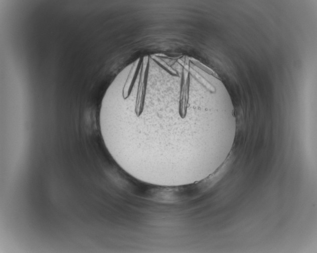 X0000111850182200908201244