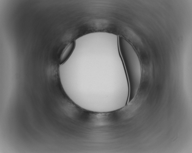 X0000111850184200908201244