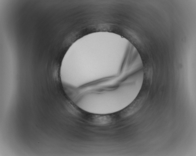 X0000111850185200908201244