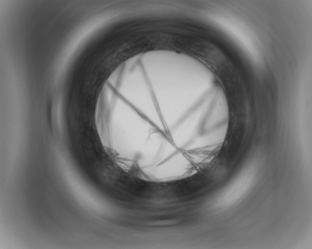X0000111850189200908201244