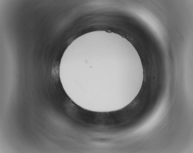 X0000111850190200908201244