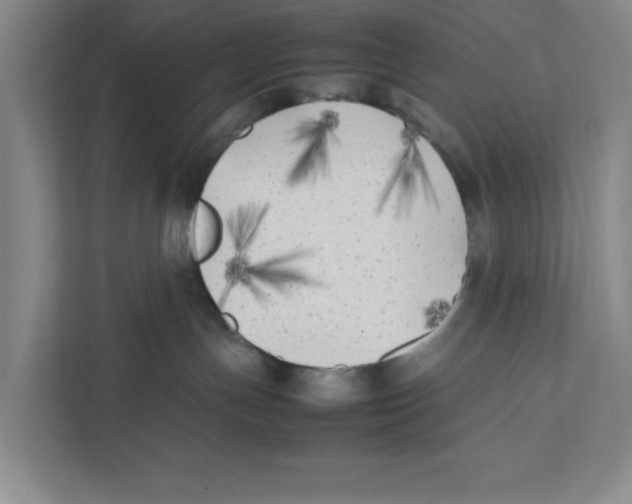X0000111850191200908201244