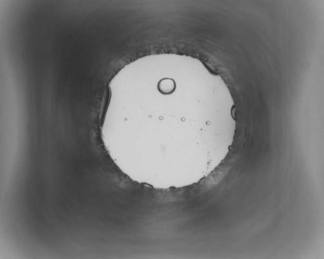 X0000111850192200908201244