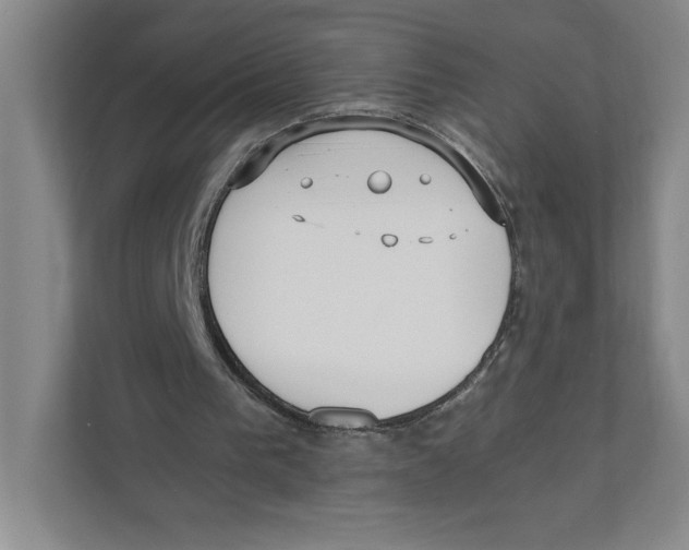 X0000111850193200908201244
