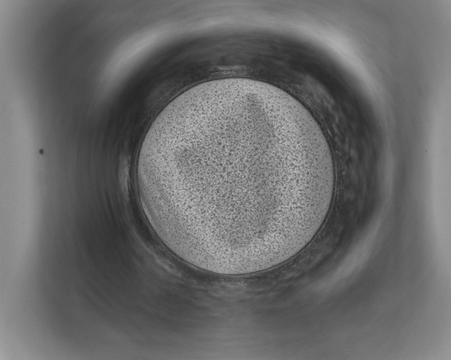 X0000111850194200908201244