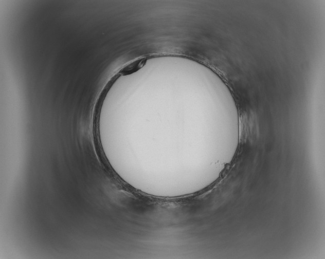 X0000111850195200908201244