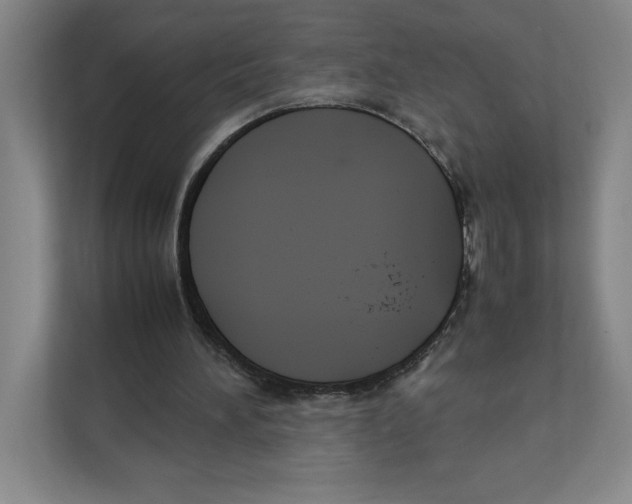 X0000111850196200908201244