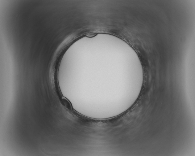 X0000111850197200908201244