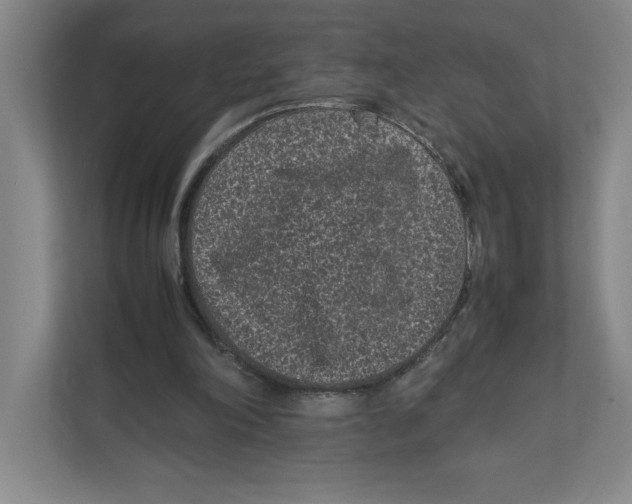 X0000111850198200908201244