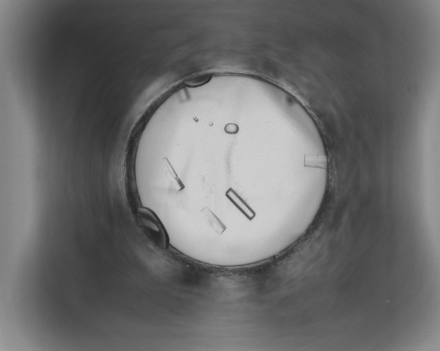 X0000111850199200908201244