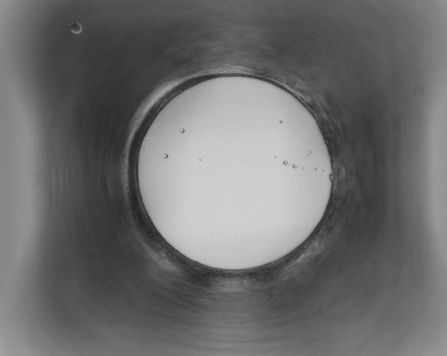 X0000111850200200908201244