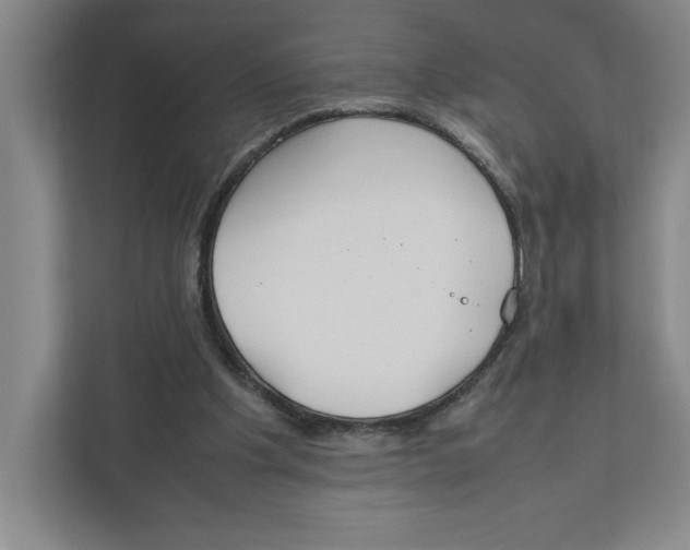X0000111850201200908201244