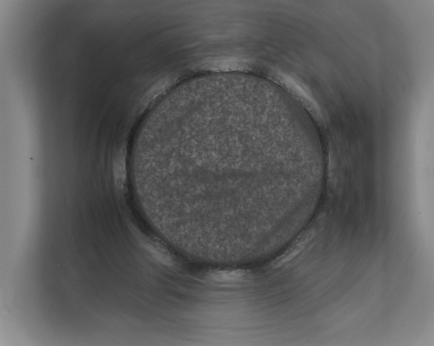X0000111850202200908201244