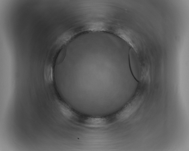 X0000111850205200908201244