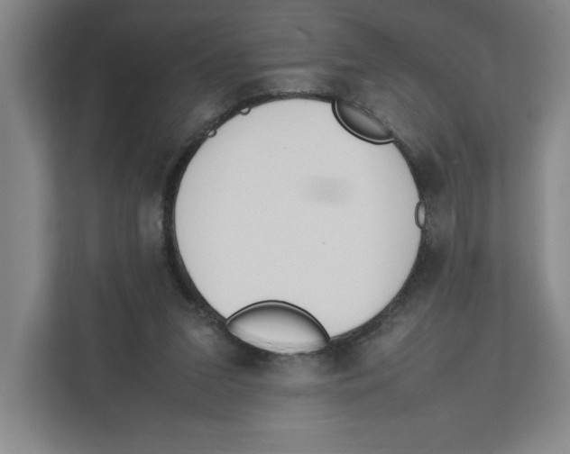 X0000111850207200908201244