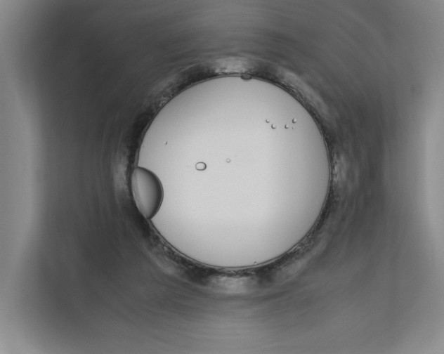 X0000111850209200908201244