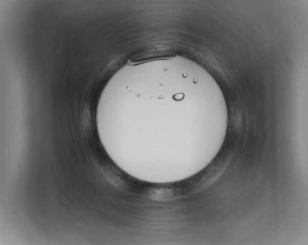 X0000111850220200908201244
