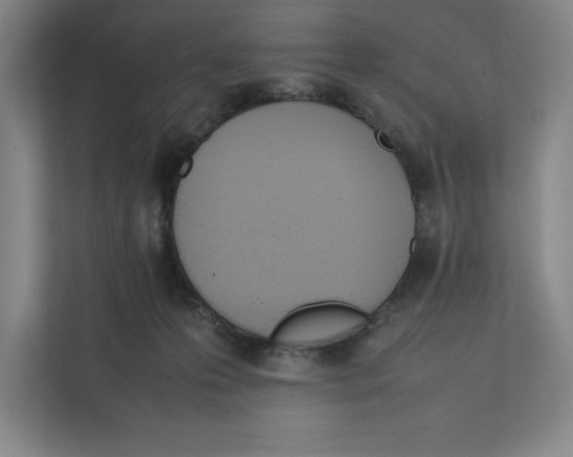 X0000111850223200908201243