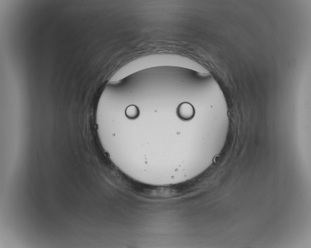 X0000111850225200908201243