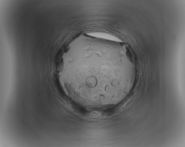 X0000111850227200908201243