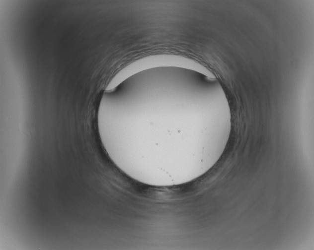 X0000111850229200908201243