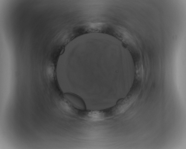 X0000111850231200908201243