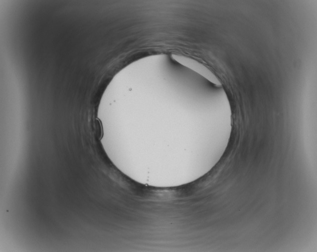 X0000111850233200908201243